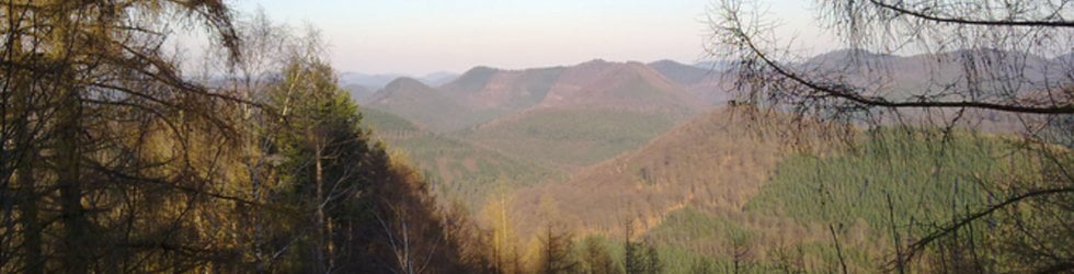 VTT & MTB-France-Vosges du Nord-Palatinat.