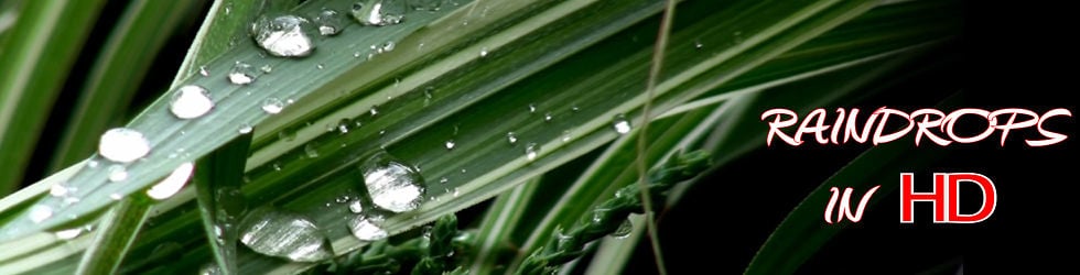 Raindrops in HD