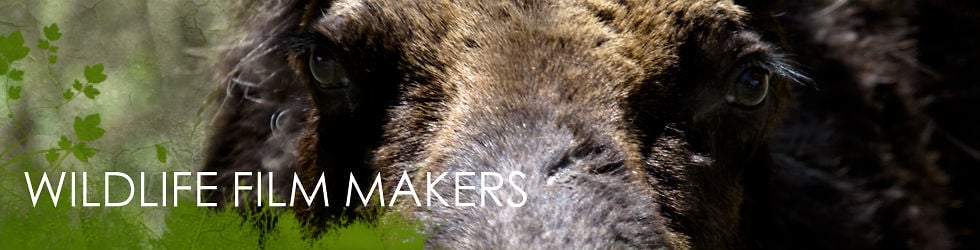 Wildlife Filmmakers