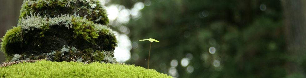 . . . . . . . . . . . . . . . . . . . ...........  Screen Composer