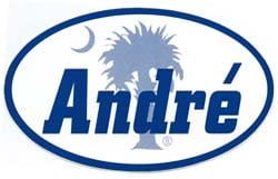 Putting South Carolinians First: Andre Bauer
