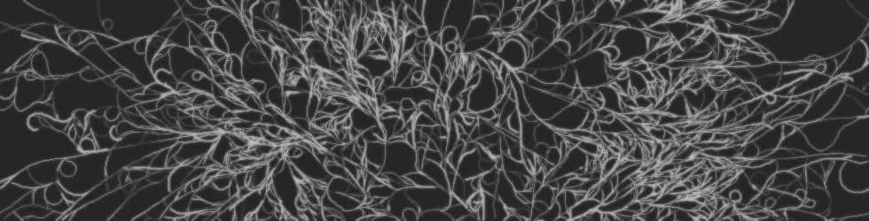 Lenguaje Computacional Cero