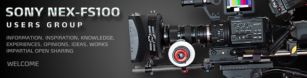 SONY NEX-FS100