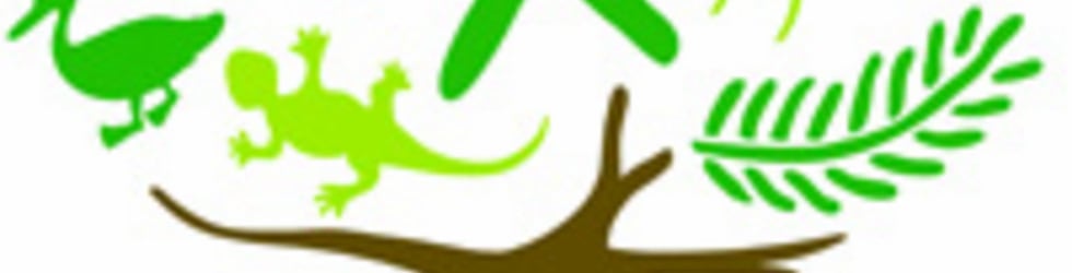 UN Forests for People: International Short Film Contest