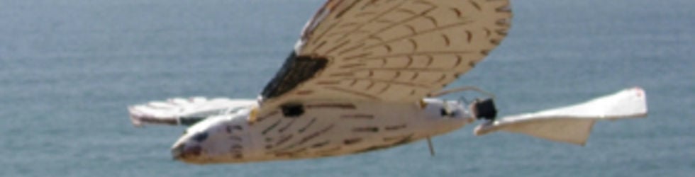 RC SLOPE SOARING