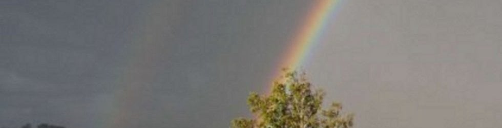 Permaculture TV free video cooperative