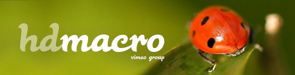 HD Macro