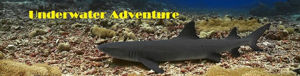 Underwater Adventures.