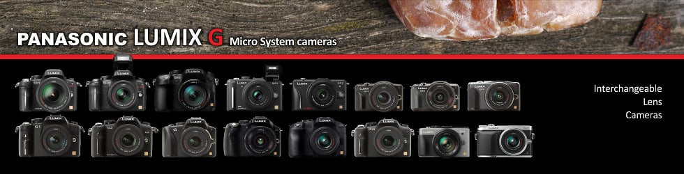 Panasonic LUMIX G Micro System cameras