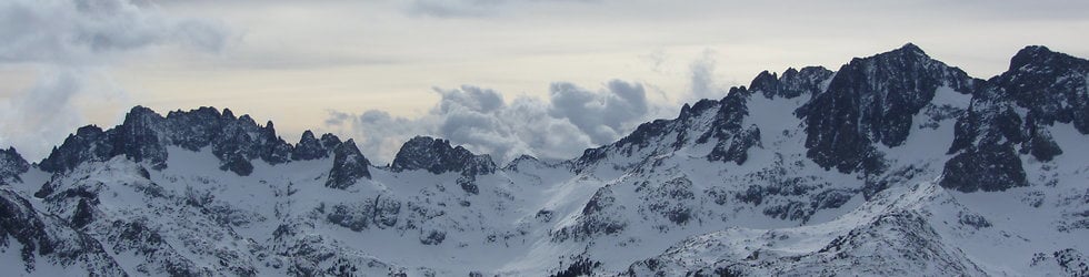 SNOWboarders