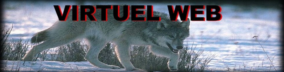 Virtuel Web 02