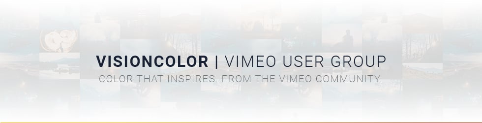 VisionColor