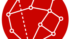 RADICAL FILM NETWORK