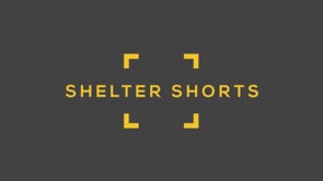 The #ShelterShorts Group