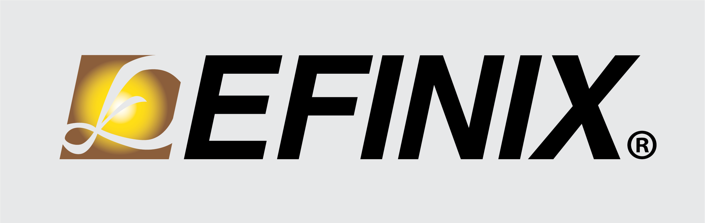 Efinity Software | Efinix, Inc.