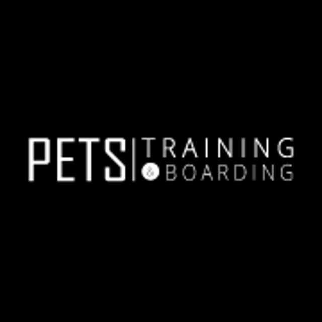 Merajai Dunia Digital: Strategi Pemasaran untuk Bisnis Pet Training dan Boarding