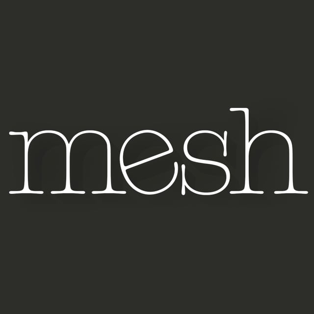 mesh