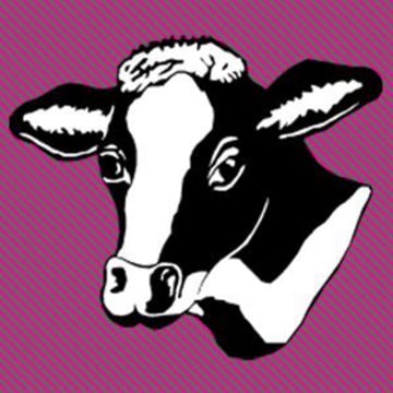 Vimeo profile picture for @willis
