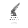 Wide Wings