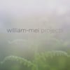 william-mei projects