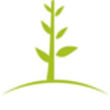 Vimeo profile picture for @wiser