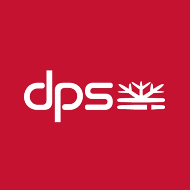 DPS SKIS