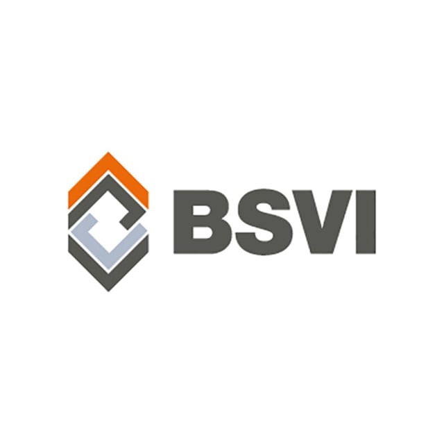 BSVI e.V.