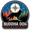 Buddha Dog Rescue & Recovery