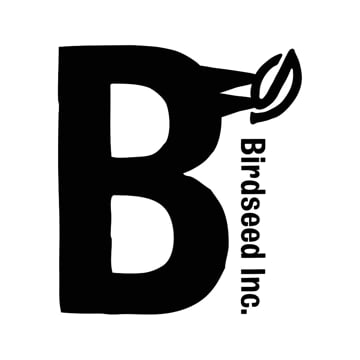 Vimeo profile picture for @birdseed