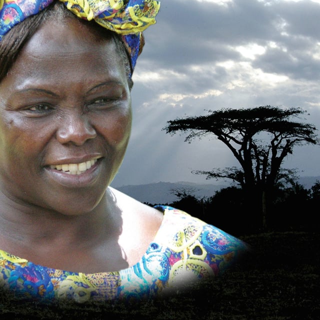 Maathi wangari "unbowed". Вангари маатаи непокоренная. Вангари маатаи фото. Wangari maathai биография. Wangari maathai.