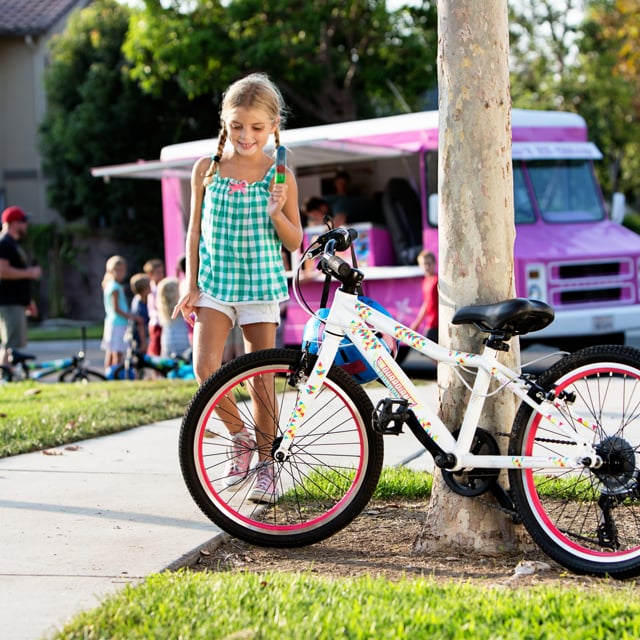 guardian bikes