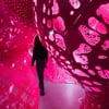 MARC FORNES / THEVERYMANY