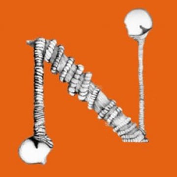 Vimeo profile picture for @nodo