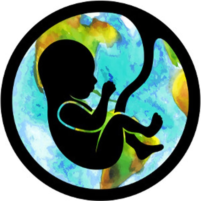 World Birth Hub