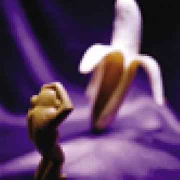 Vimeo profile picture for @ludwig