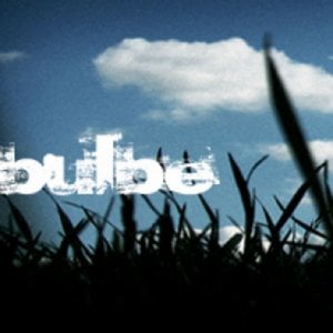 Profile picture for bulbe