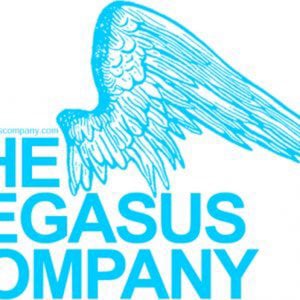 Profile picture for The Pegasus Company