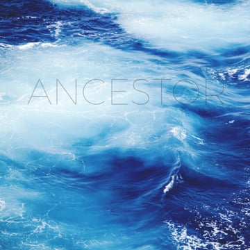 Vimeo profile picture for @ancestor