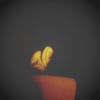 m_amaral