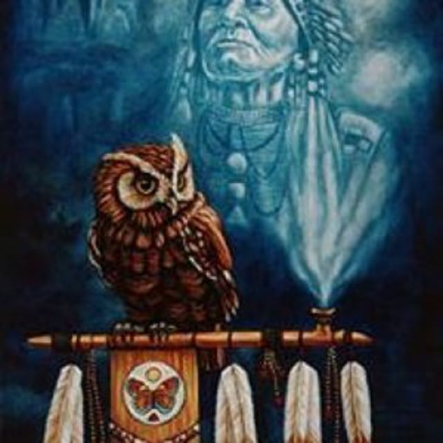 Сова индейцы. Тотем индейцев хайда ворон. Тотемное животное сова. Сова индейцы. Тотем совы индейцев северной америки.