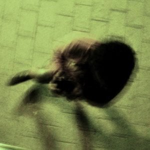 Profile picture for potty