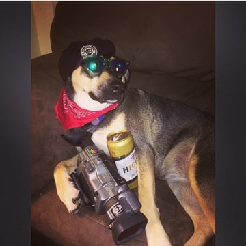 Vimeo profile picture for @hammered