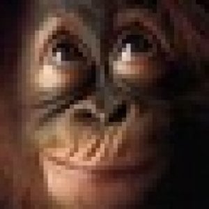 Profile picture for Jeff Kahn