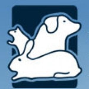Profile picture for Alliance For Animals
