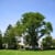 Hofstra University