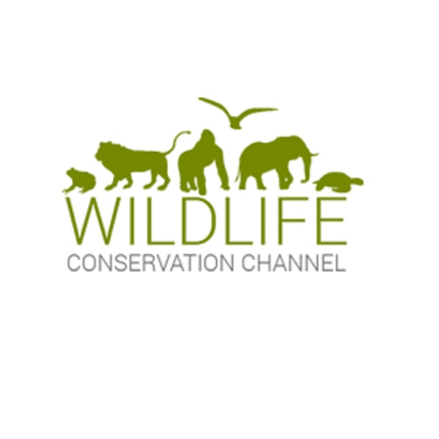 Wildlife Conservation Channel