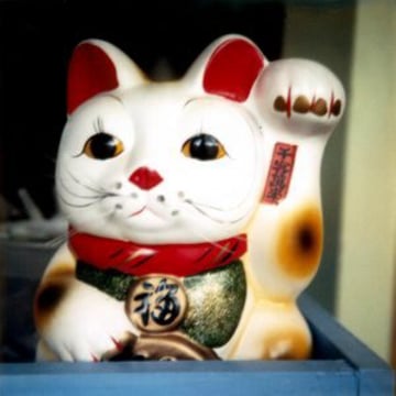 Vimeo profile picture for @meow