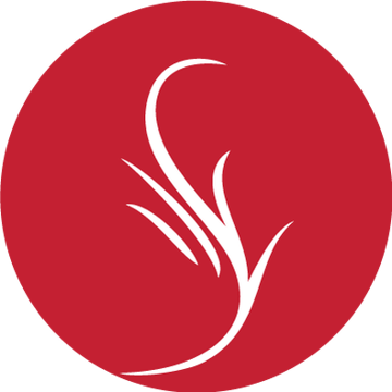Vimeo profile picture for @radius