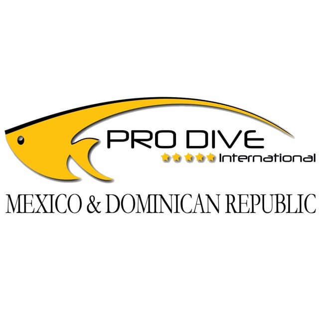 Pro Dive International