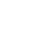 THE MOTHERSHIP